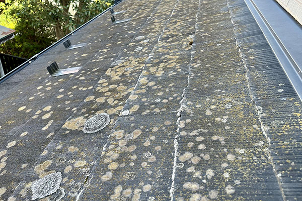 苔の生えた屋根